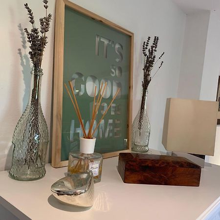 Sauro 43 Apartment Pisa Bagian luar foto